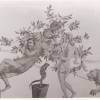369. Feste 1950 Carlos Riefel